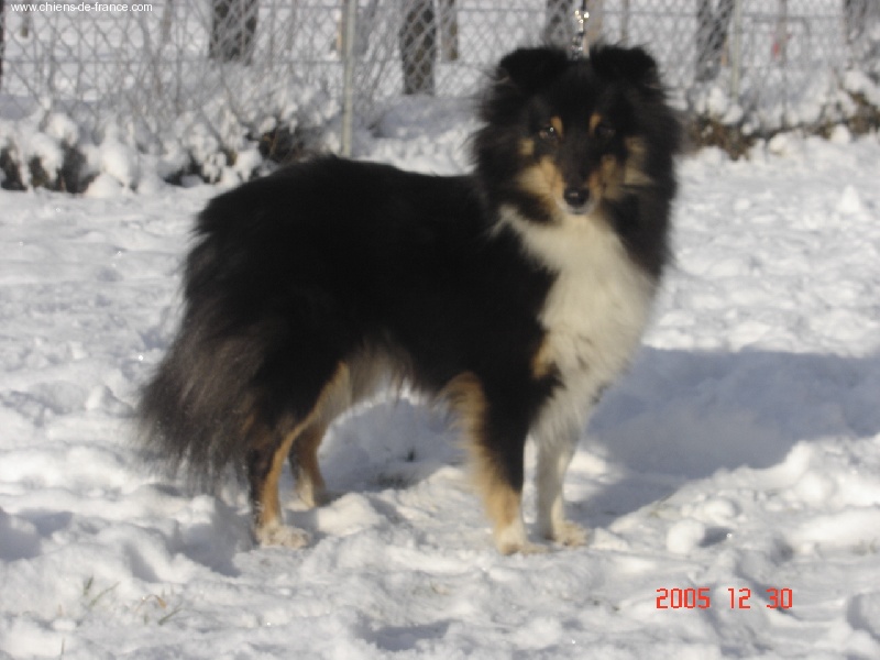 Publication : Du Grand Champ D' Aubertans