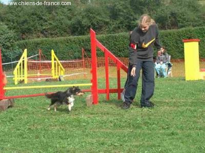 Publication : Du Grand Champ D' Aubertans