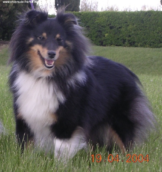 Publication : Du Grand Champ D' Aubertans