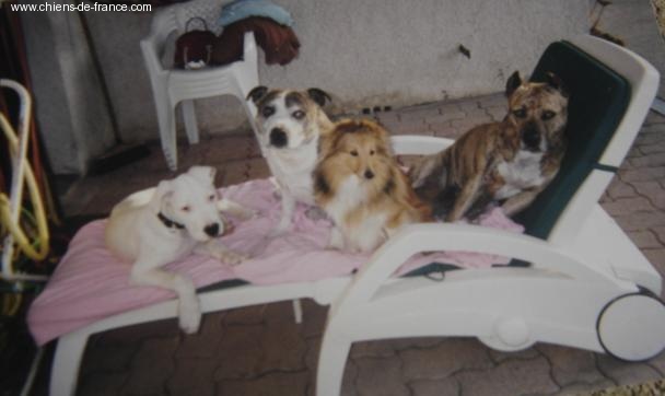 Uranne Du Grand Champ D' Aubertans