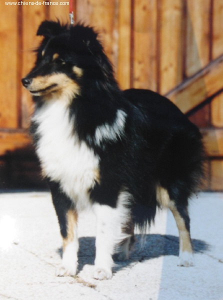 Publication : Du Grand Champ D' Aubertans