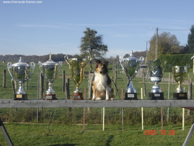 CH. Mandy Du pays des rièzes