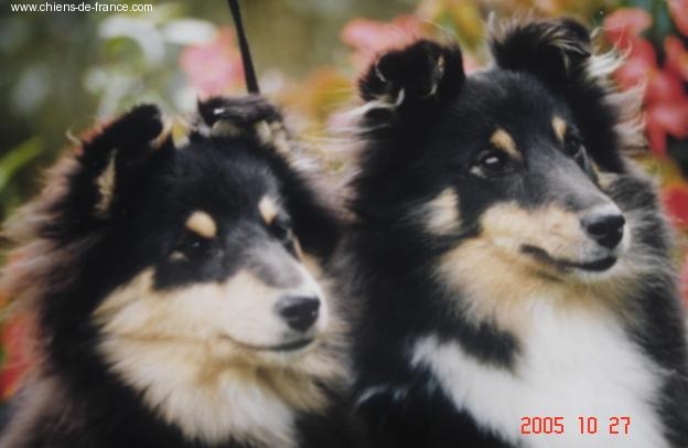 Publication : Du Grand Champ D' Aubertans