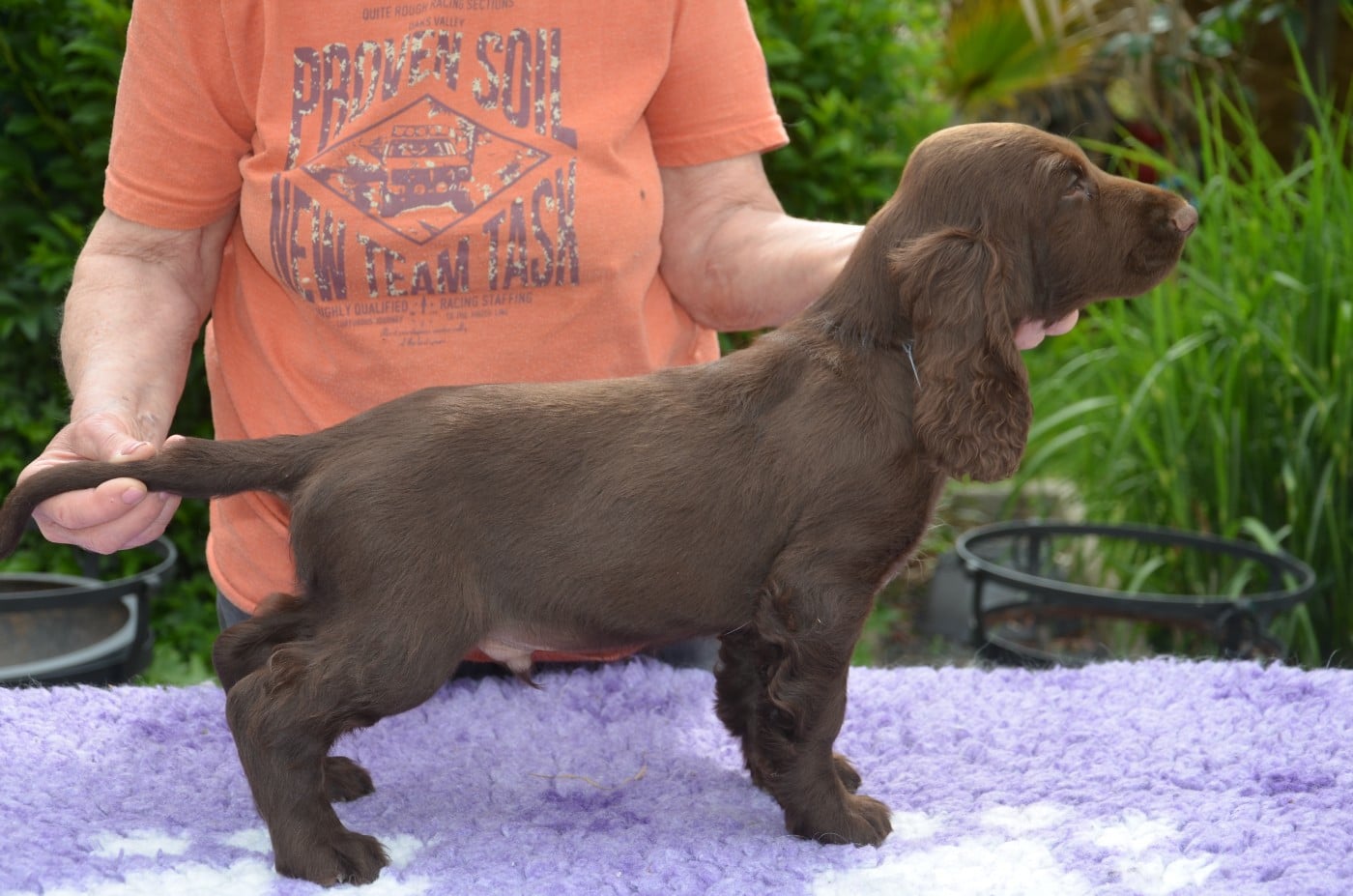 collier bleu BRENNUS
