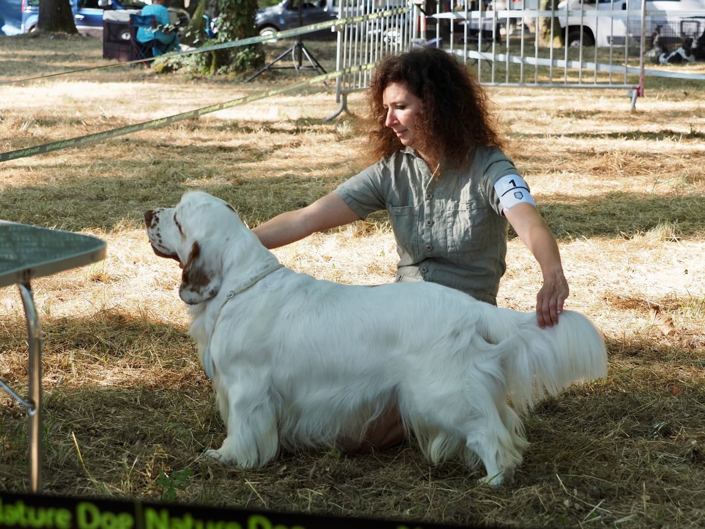TR. CH. Dumbledore sunshine mrija - Cl Champion 1er excellent