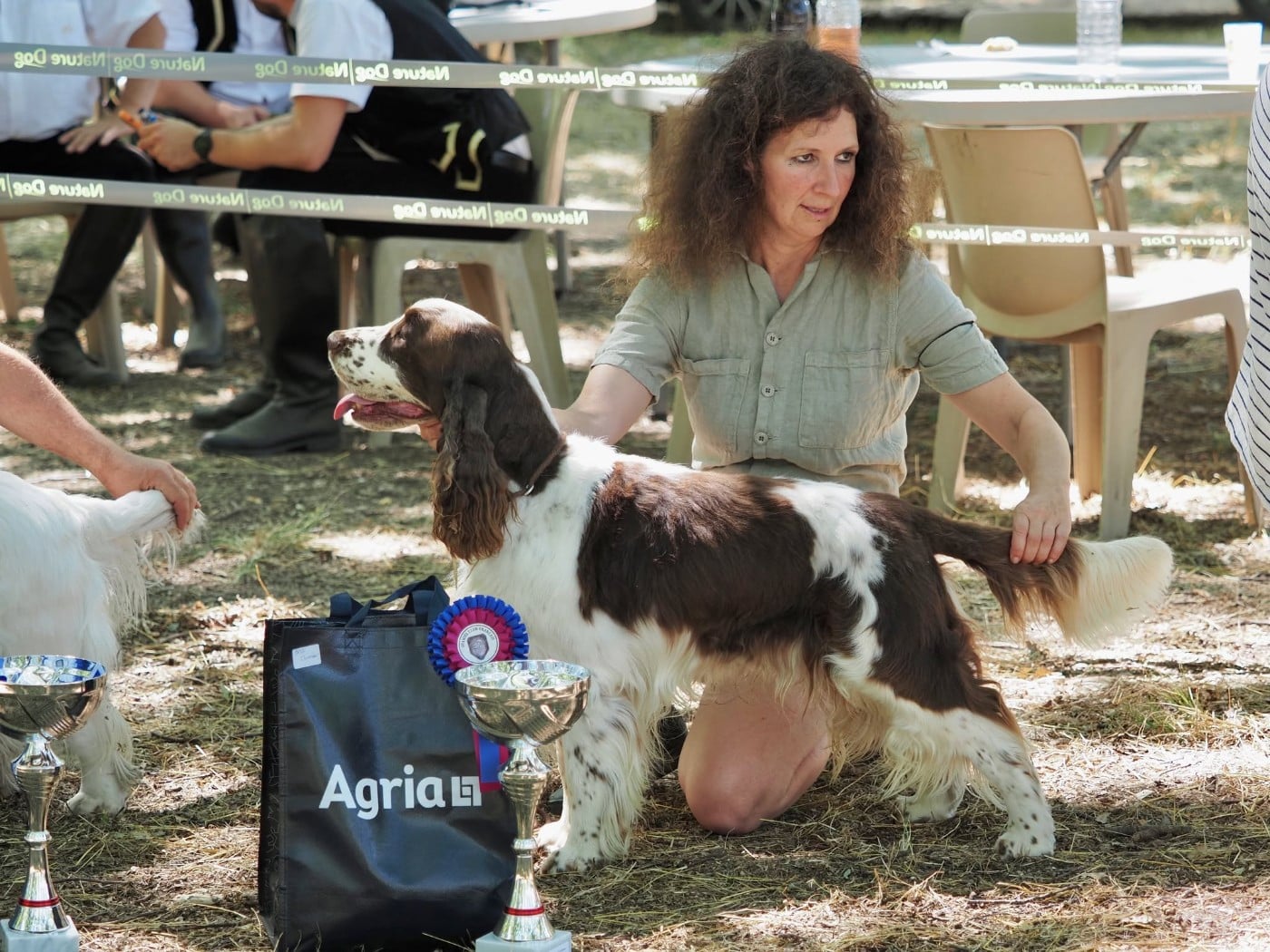 Adele de la lette des pignaderes - cl jeune meilleur jeune springer