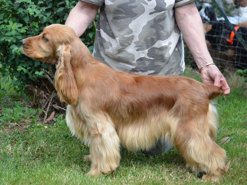 Jade du Rieu-Grand - 1ere Excellente classe Jeune 3eme du BIS Jeune