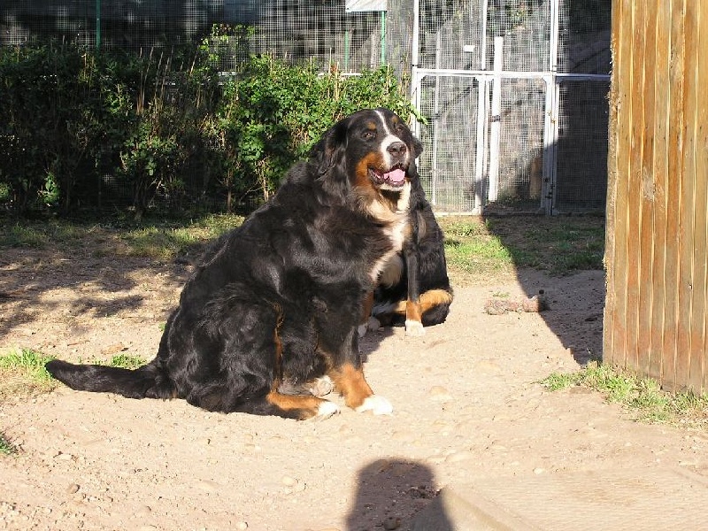 Publication : du mas de Jalnot