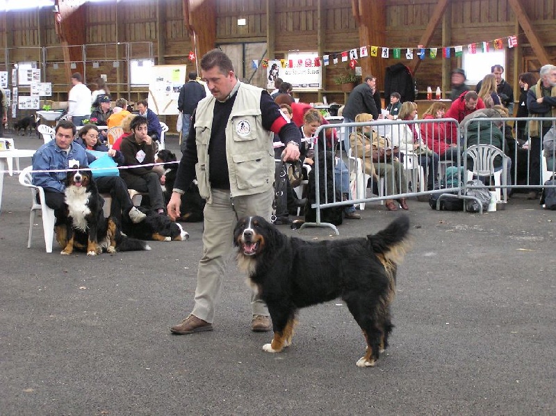 Publication : du mas de Jalnot