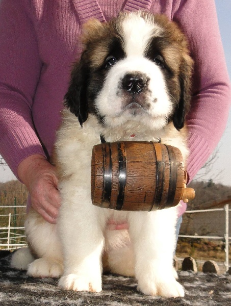 Hivana du mas de Jalnot