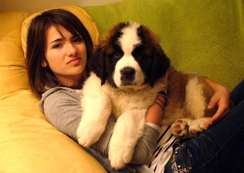 Hendjie du mas de Jalnot