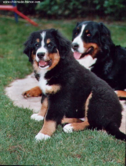 Publication : du mas de Jalnot