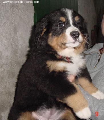 Publication : du mas de Jalnot