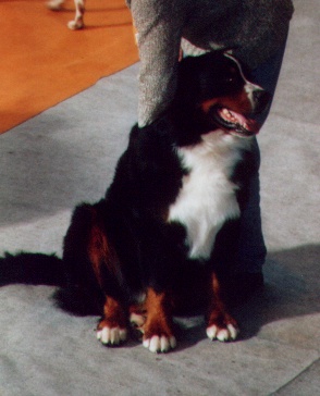 Publication : du mas de Jalnot