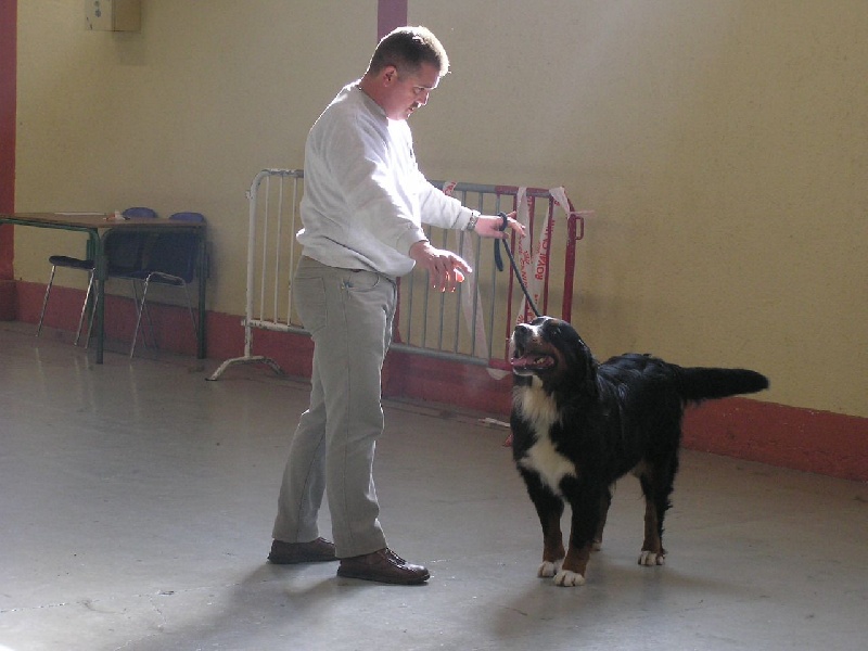 Publication : du mas de Jalnot