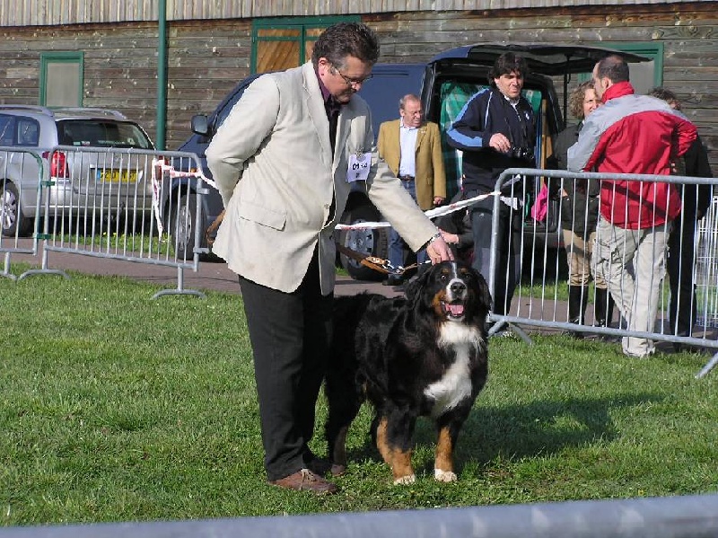 Twenny Des hautes vernades - Tres Bon