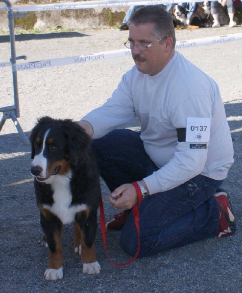 Fushïa du mas de Jalnot - 2 em Tres prometteur
