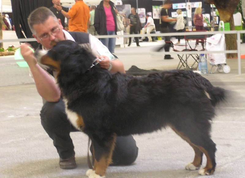 Fushïa du mas de Jalnot - 2 em Excellent