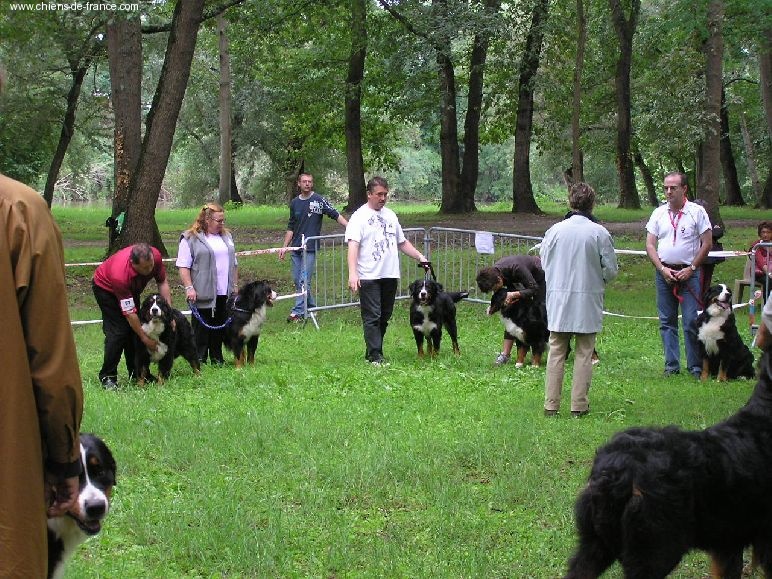 Twenny Des hautes vernades - Trés Bon
