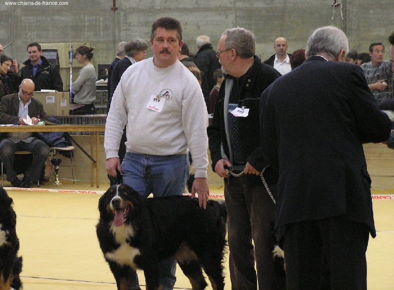 Twenny Des hautes vernades - Excellent