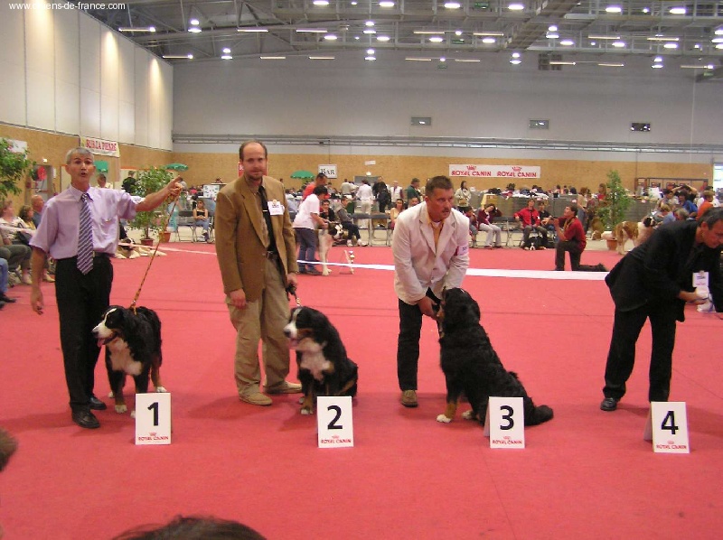 Twenny Des hautes vernades - 3 éme Trés Bon - Classe Intermédiaire