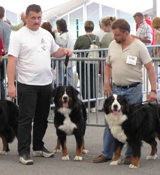 Twenny Des hautes vernades - Excellent - Classe Ouverte