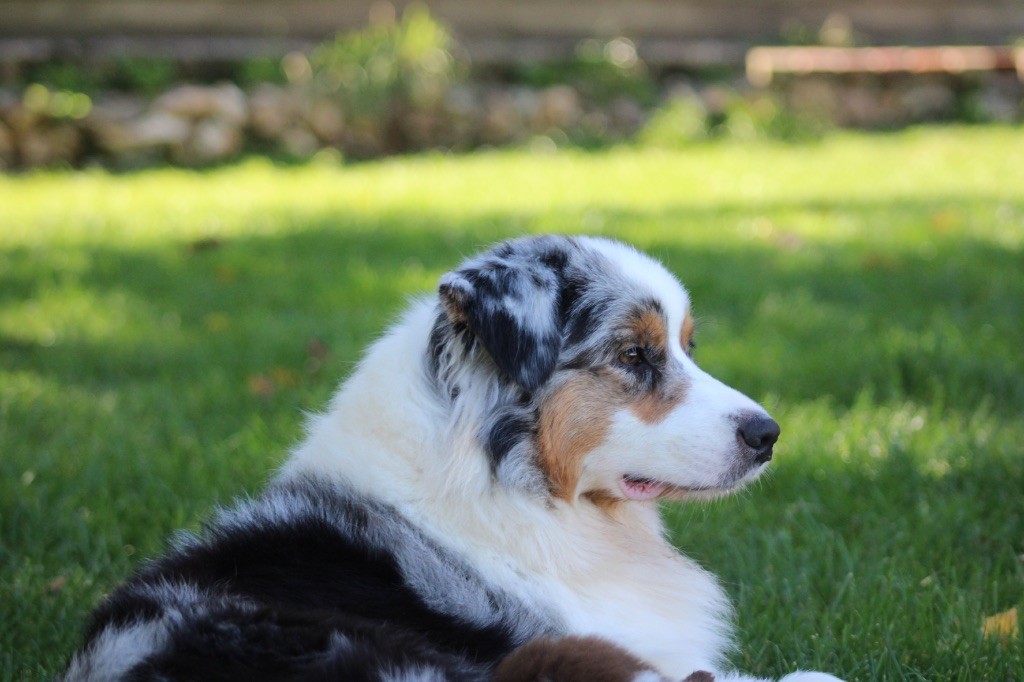 Vendetta perfetta di casa sant anna