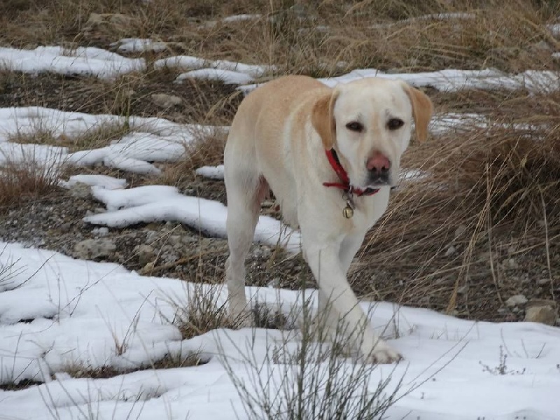 Publication : Des Terres Provençales Auteur : Des Terres Provençales