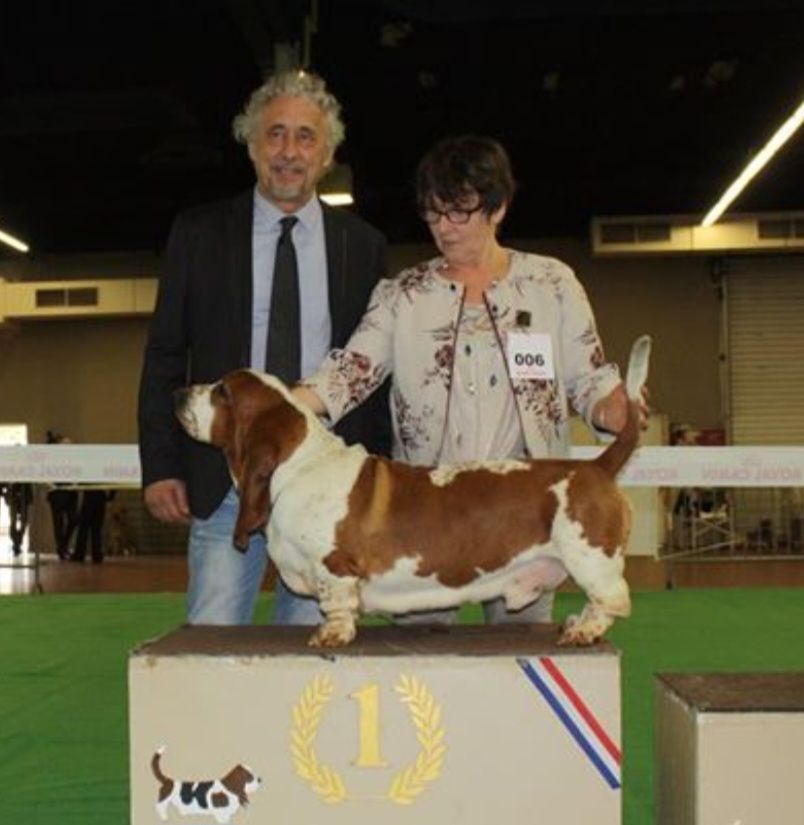 Publication : du Haras de la Vergne