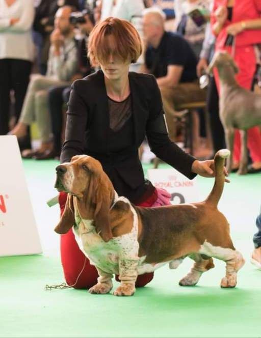 Publication : des Cotes de la Saunade Auteur : propriétaire Mathilde Charpigny