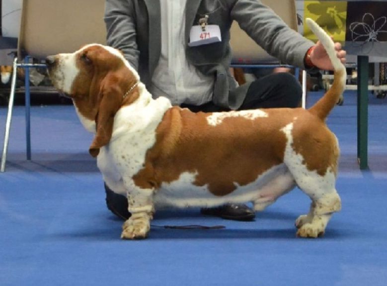 Publication : du Haras de la Vergne