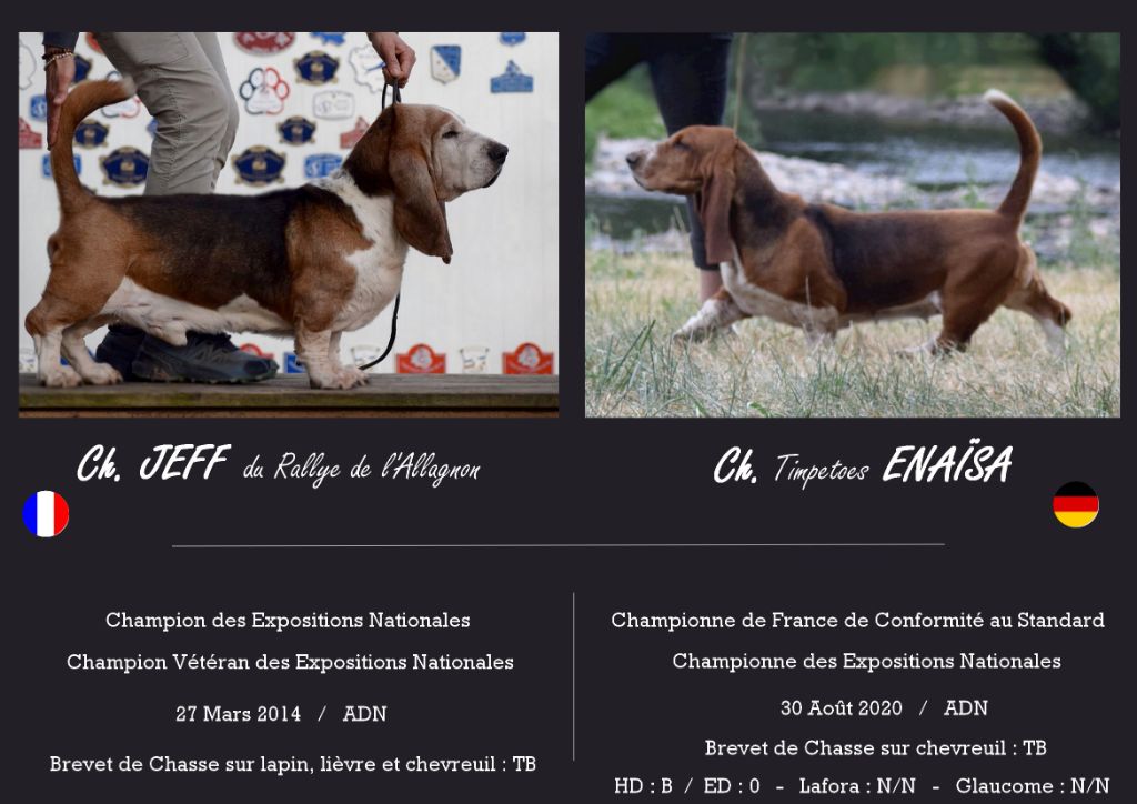 Femelle collier vert