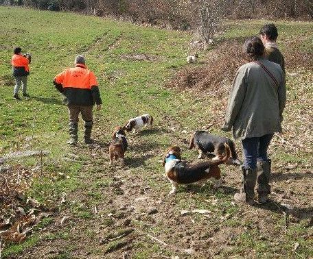 Hola du Rallye de L'Allagnon - 135pts TB