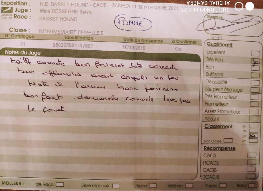 Pomme de reinette et pomme d'api Titre Initial - 3° TRÈS BON classe intermédiaire