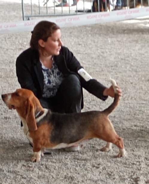 Smarties mini des Cotes de la Saunade - 2° EXCELLENT / classe intermédiaire