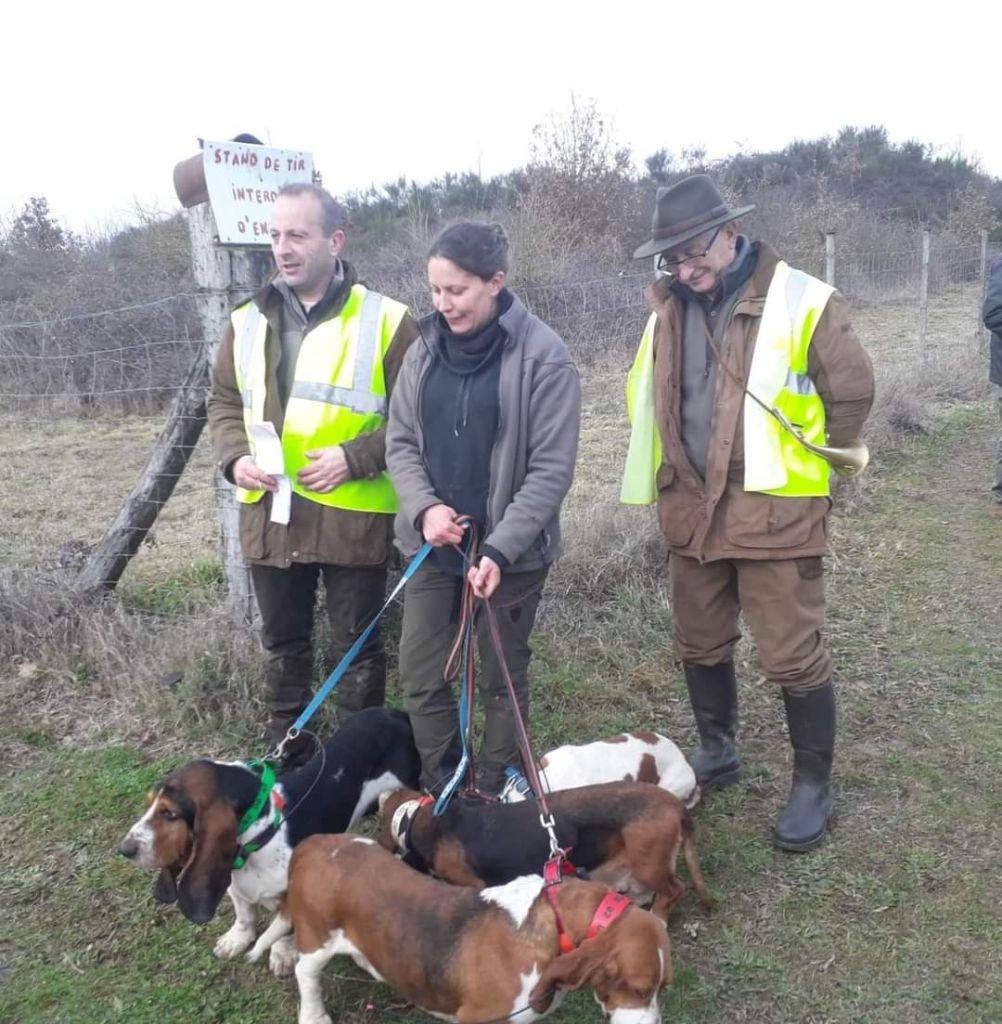 Nuts Titre Initial - 115 pts Bon