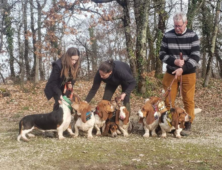 Nuts Titre Initial - 135 pts TRÈS BON