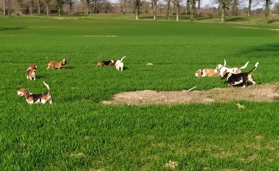 Nuts Titre Initial - 135pts TB