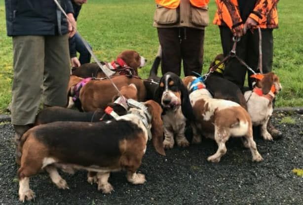 Nuts Titre Initial - 125pts B