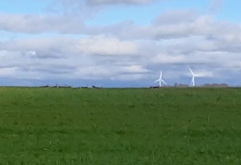 CH. Enaisa timpetoes - 135 pts Très Bon