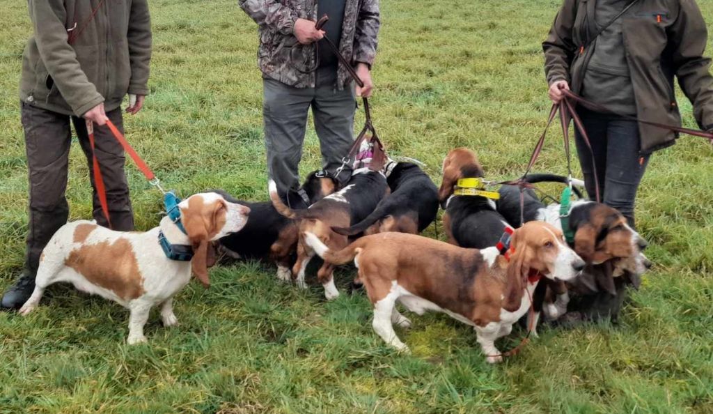 Nuts Titre Initial - 120 pts BON