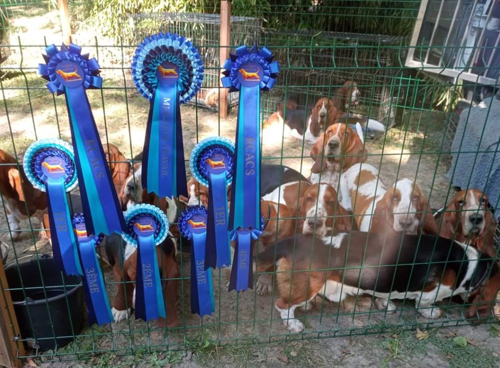 Smarties mini des Cotes de la Saunade - TRÈS BON / classe intermédiaire