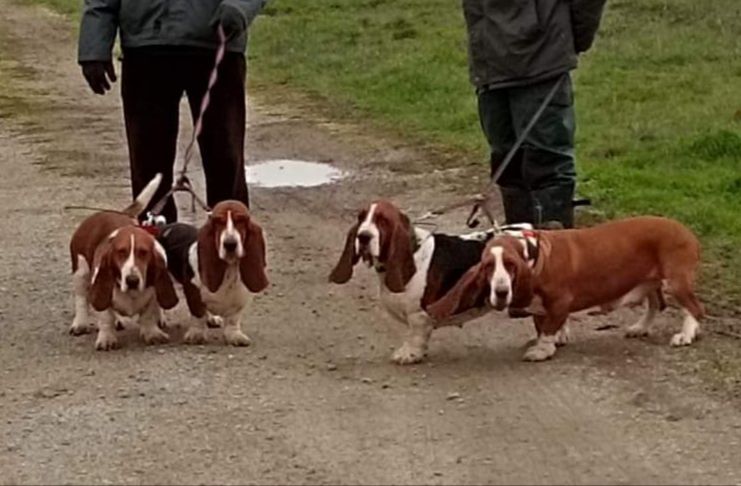 Nuts Titre Initial - 110 pts AB