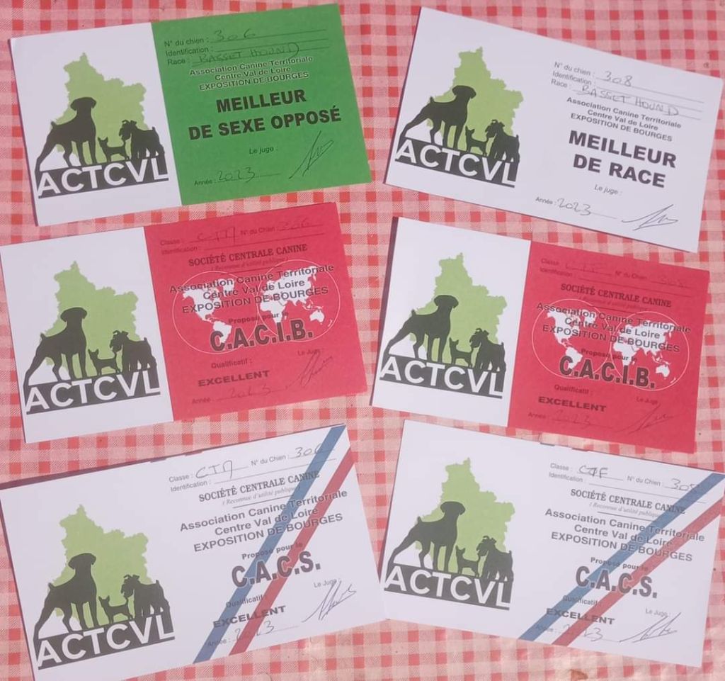 CH. Enaisa timpetoes - 1° EXCELLENT/ CACS / CACIB / BOB / classe travail