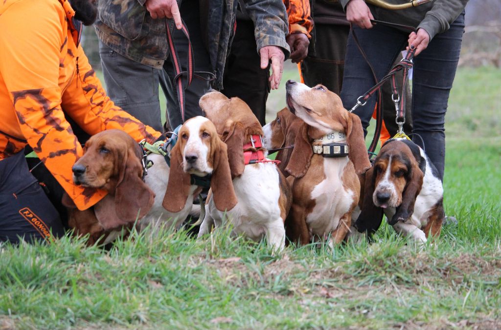 Nuts Titre Initial - .