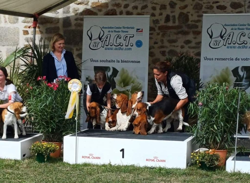 CH. Enaisa timpetoes - 1° EXCELLENT/ CACS / BOB / classe travail