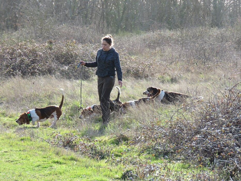 Nuts Titre Initial - 120pts B