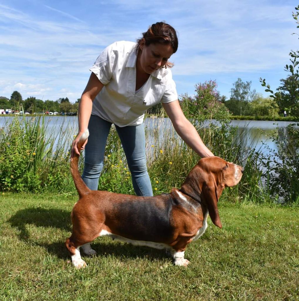 CH. Enaisa timpetoes - 1° EXCELLENT / CACS / BOB / BOG.2 / classe travail