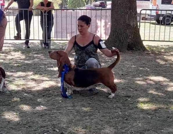 CH. Enaisa timpetoes - 1° EXCELLENT/ RCACS / classe travail