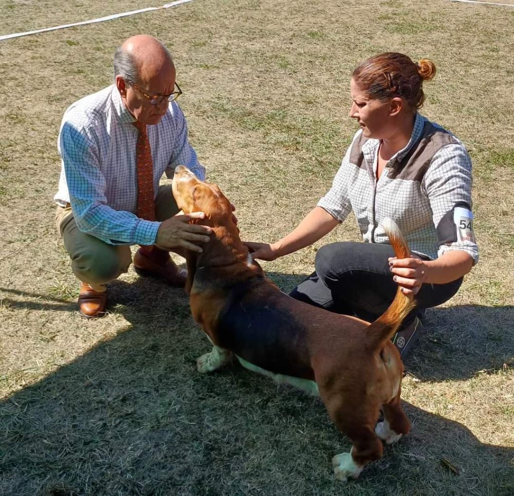 CH. Enaisa timpetoes - 1° EXCELLENT/ CACS / BOB / classe travail